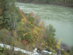 image-610939184.png