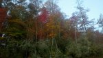 2012-10-19_07-29-14_411.jpg