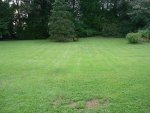 DSC03610.jpg