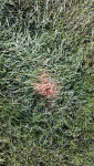 image-682827776.png