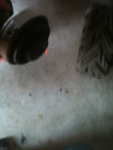 image-1989693492.png
