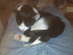 BB pics 2011 088.jpg