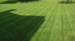 lawn 4.PNG