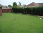DSC02482.jpg