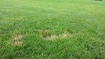 20130601_093915_resized.jpg