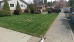 ForumRunner_20150423_180243.png