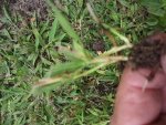 20180809_183840.jpg