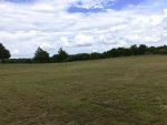 C78D752C-3327-4687-A083-7A2D39C82E64.jpg