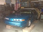 BB pics 2011 480.jpg