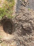 soil2.jpg
