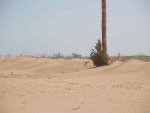 Sand in Fence-1-----4-17-02.jpg