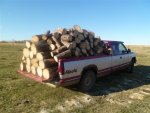 firewood 2011 002.jpg