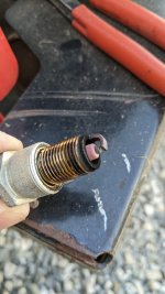 PXL_20230413_201007517.jpg