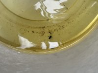 IMG_6105.JPEG