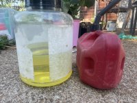 IMG_6176.JPEG