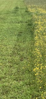 IMG_5375.jpeg