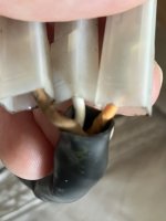 IMG_4475.jpeg