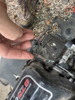 IMG_2093.jpeg