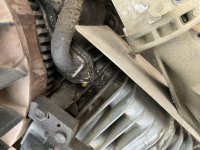 IMG_2617.jpeg