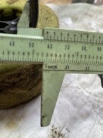 IMG_4822.jpeg