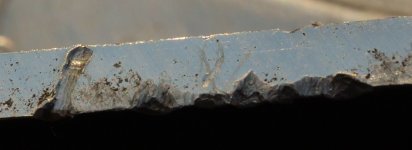 P1044022Crop2.JPG