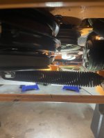 IMG_0709.jpeg