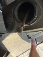 IMG_1376.jpeg