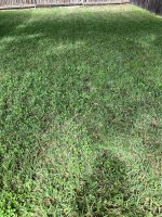 IMG_0361.JPG