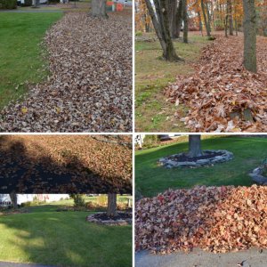 2015 Fall Cleanups