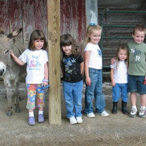 Donkey's&TOKids1