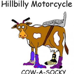 Cow a socky