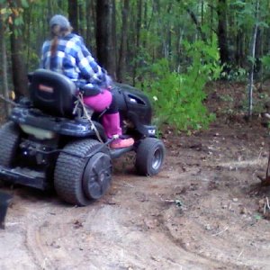 Plowed a Tree Down. She hit the same tree later and I caught it as she ran it over.