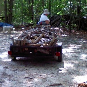 Hauling Firewood. 4x6 trailer full.