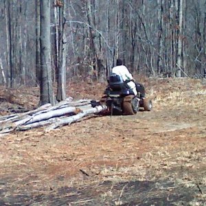 Dragging the Logs out (3)