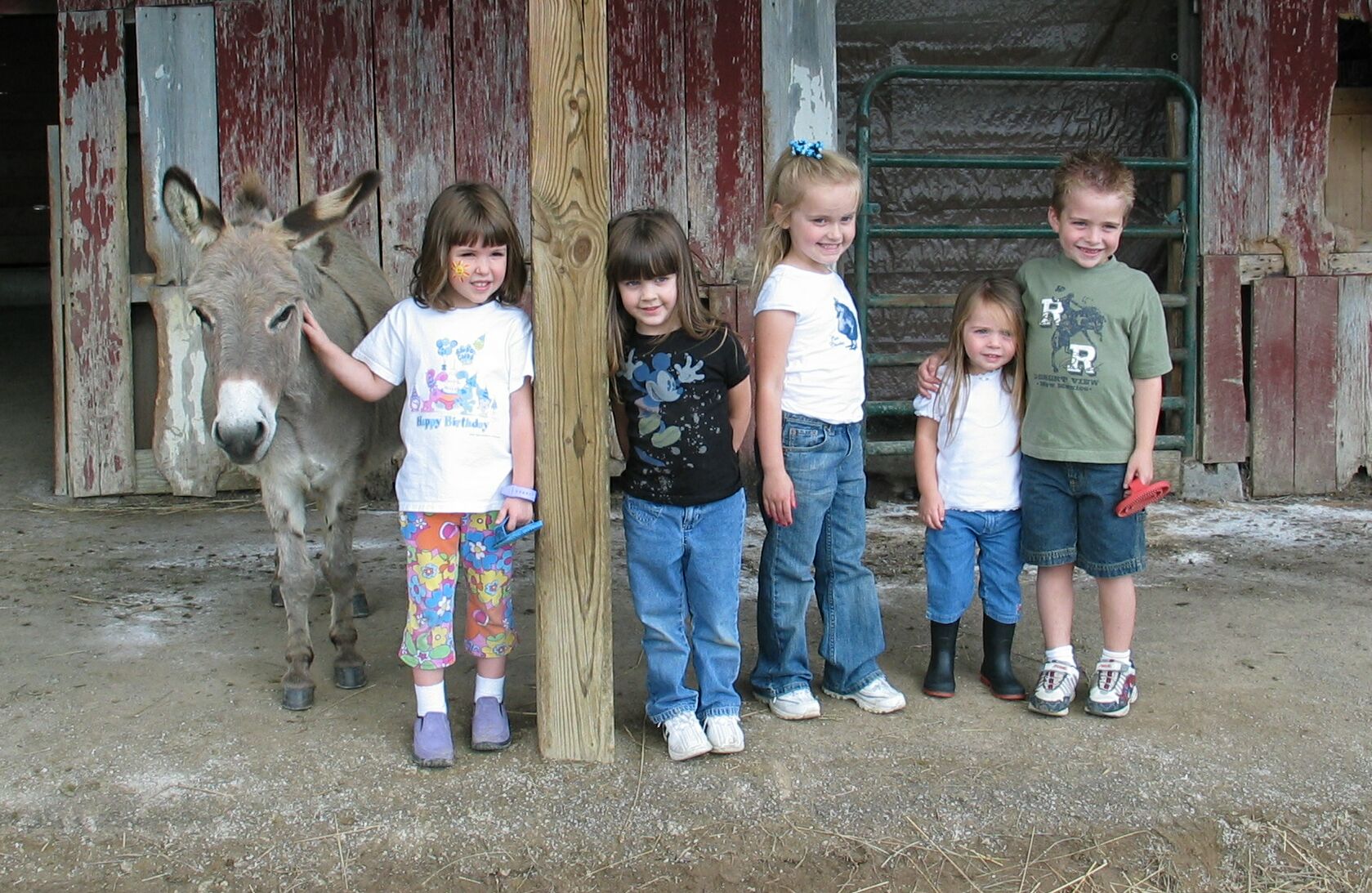 Donkey's&TOKids1