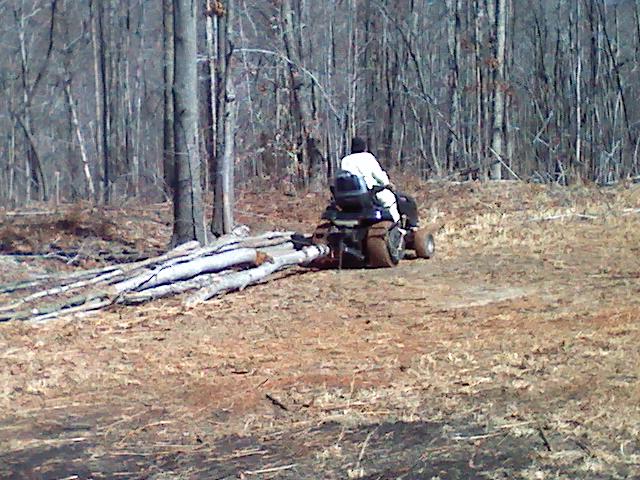 Dragging the Logs out (3)