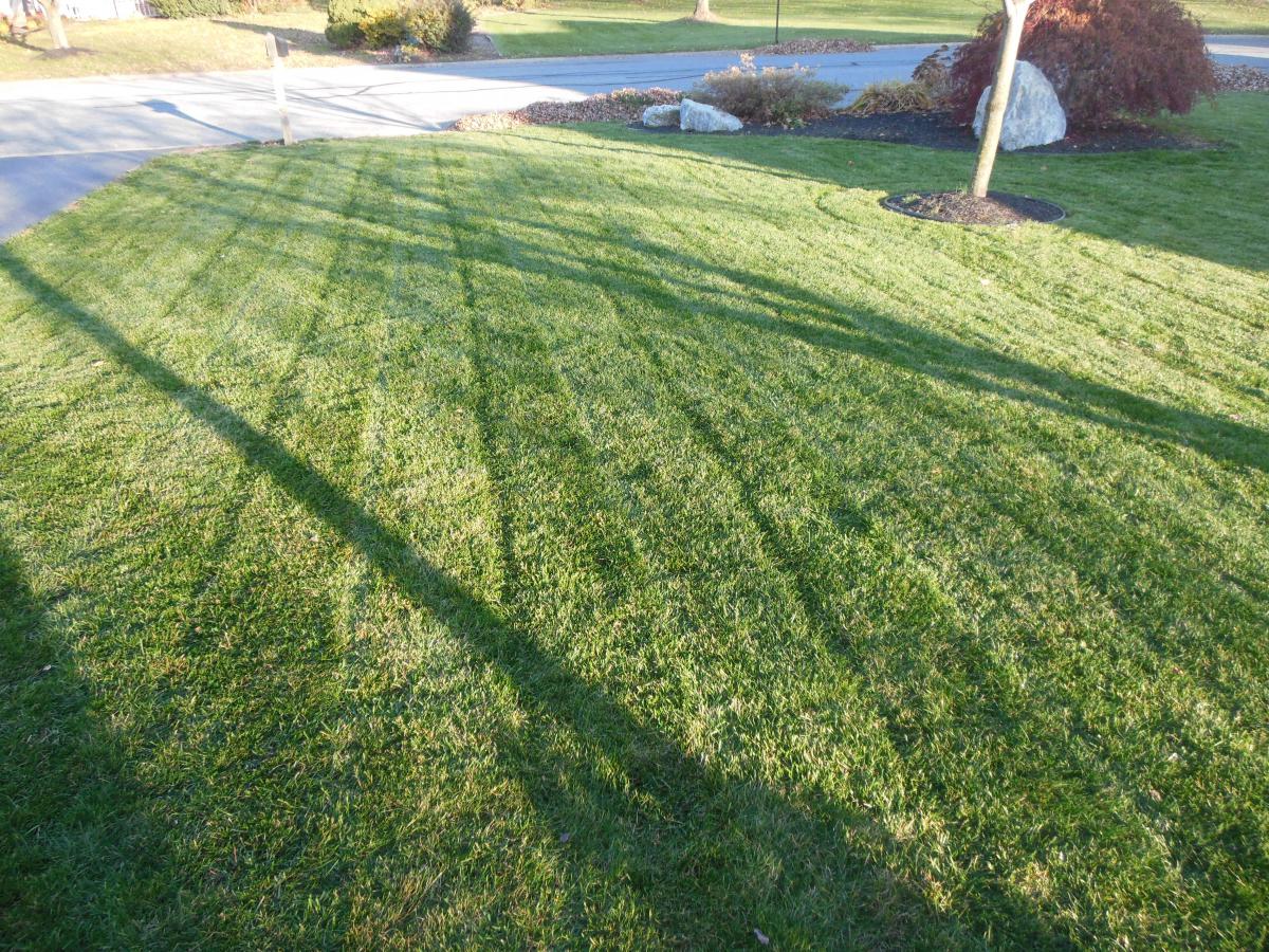 Great Final Cut on a Lawn