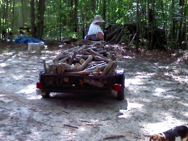 Hauling Firewood. 4x6 trailer full.