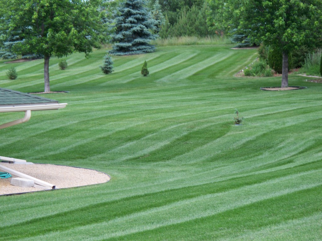 Lawn Mowing Lake Elmo MN