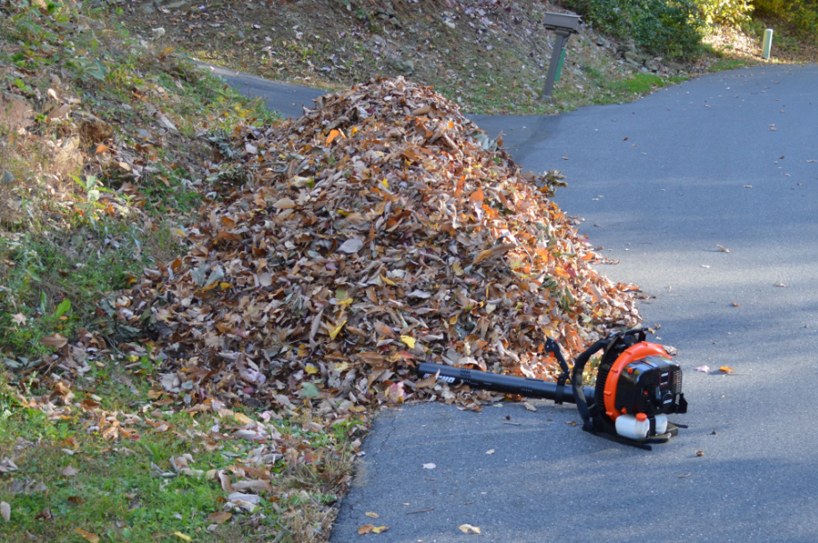 leaf pile 1