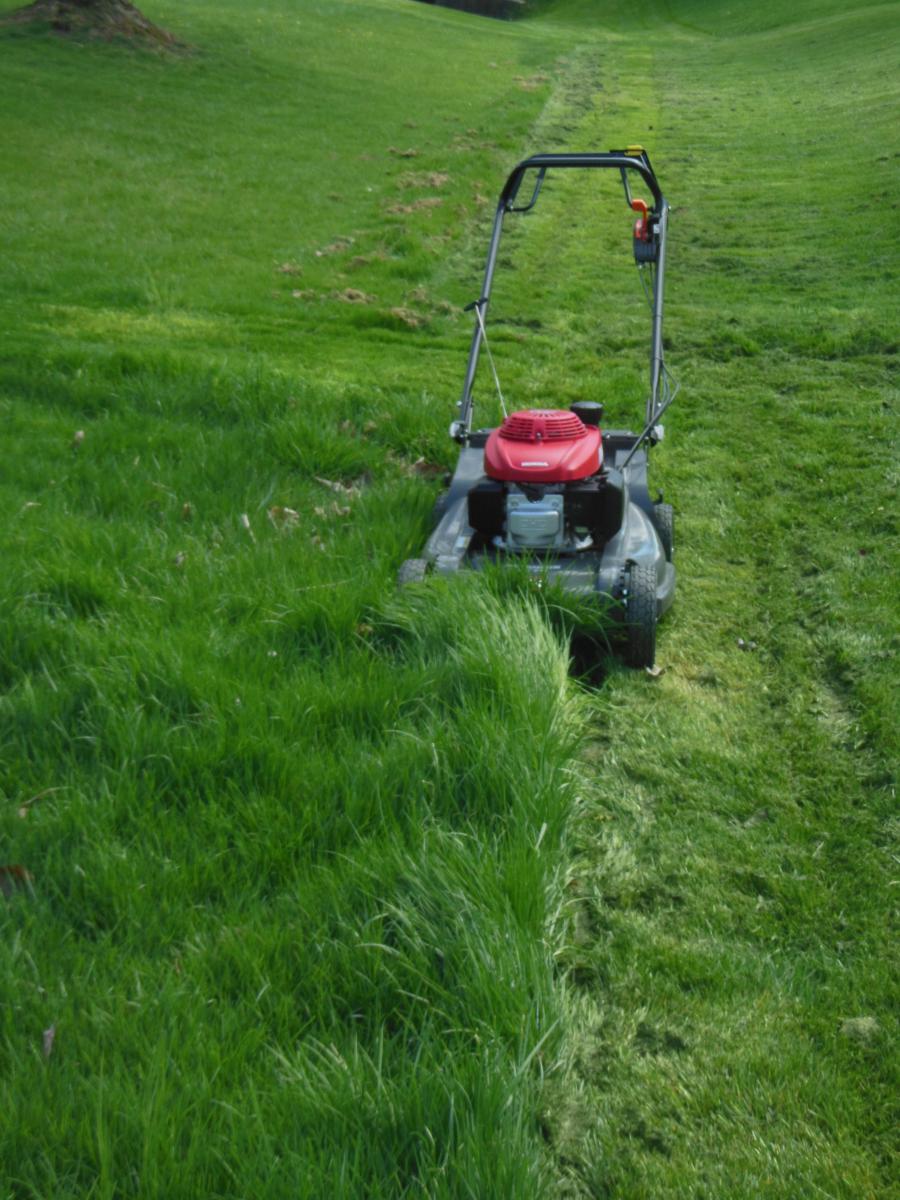 Mowing Drainage Ditch 1