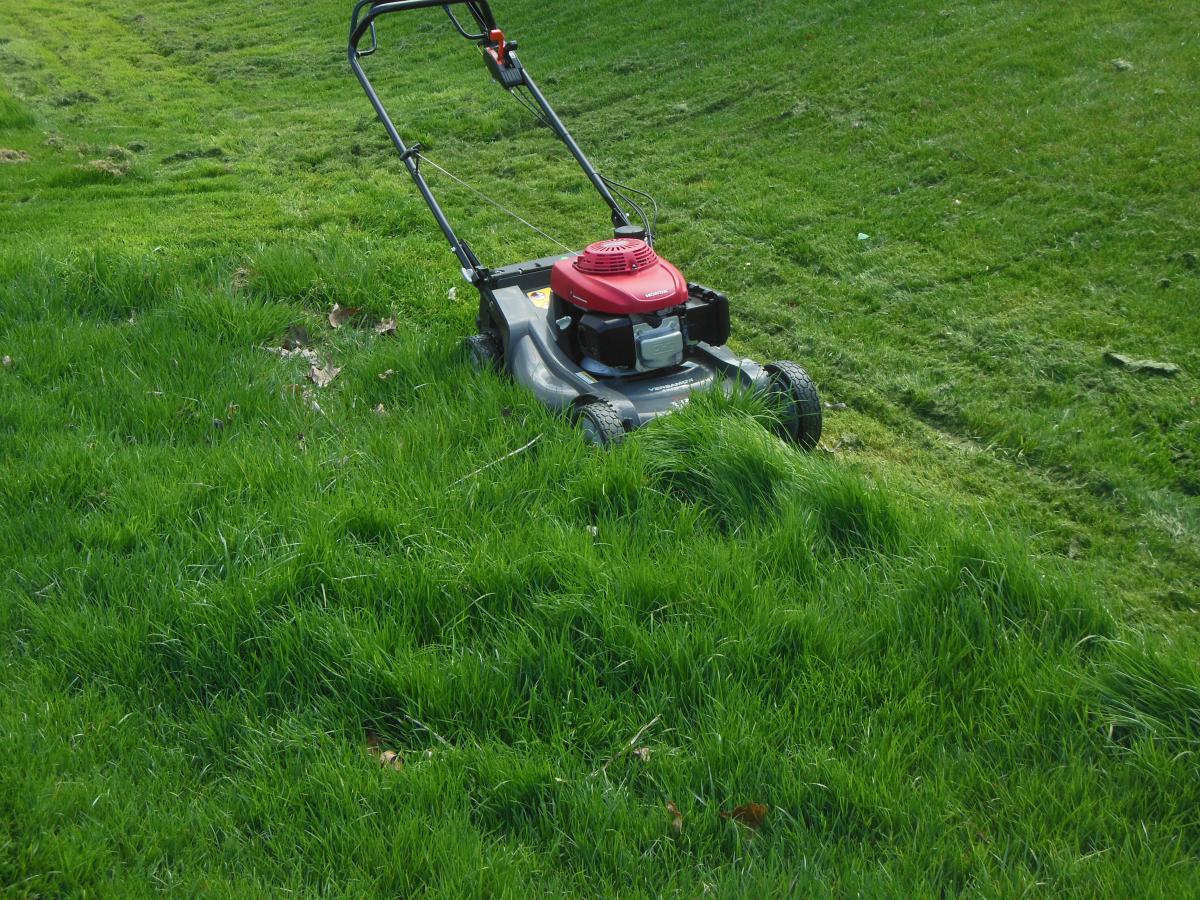 Mowing Drainage Ditch 2