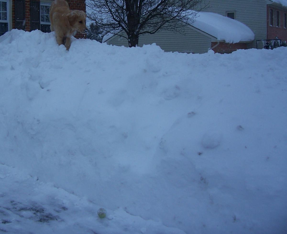 Super Deep Snow 3: Feb. 2010